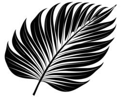 Palm leaf silhouette vector