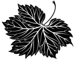 Silhouette of a leaf vector