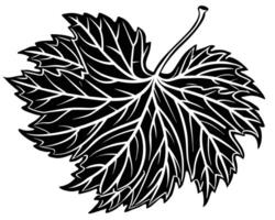 Silhouette of a leaf vector