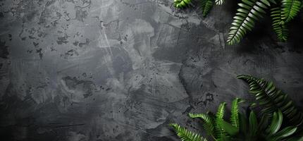 Green Plants on Dark Background With Text Space photo
