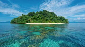 Small Island Amidst Vast Ocean photo