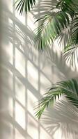Palm Leaves on a White Wall photo