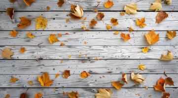 Cluster of Leaves on Wall photo