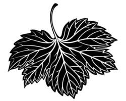 Silhouette of a leaf vector