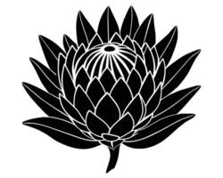 Black and white dahlia flower vector