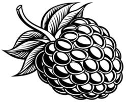 Raspberry design design vector