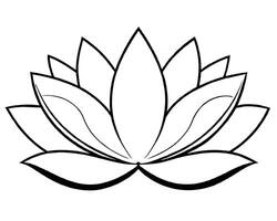 flor de loto aislado en blanco vector