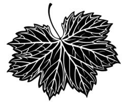 Silhouette of a leaf vector