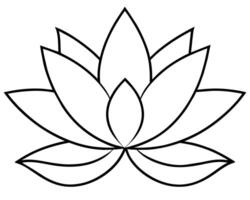 flor de loto aislado en blanco vector