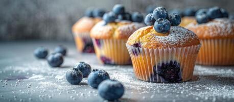 Blueberry Muffins With Powdered Sugar on a Grey Background photo