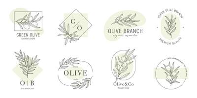 Olive label templates set with olive branches and color shapes in minimal linear style. leaves and olive fruits. Greenery plants and simple frames vector