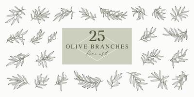 Olive branches set in minimal linear style. Leaves and olive fruits isolated on white background. plants for logos, patterns, labels, cards vector