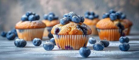 Blueberry Muffins With Powdered Sugar on a Grey Background photo