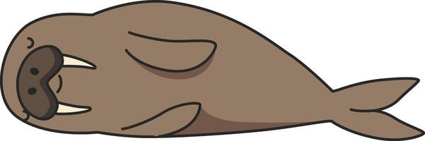 Cute Walrus illustration vector