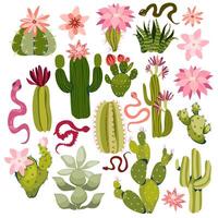 set of bright cacti, aloe and succulents. Collection of exotic plants with flowers. Decorative natural elements isolated on white. Mexico, Peru or Texas desert flora. illustration. vector