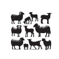 Sheep silhouette on white background. Sheep illustration sheep logo vector