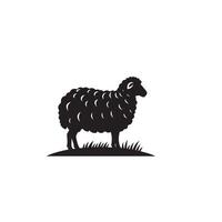 Sheep silhouette on white background. Sheep illustration sheep logo vector