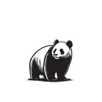 panda silueta en blanco antecedentes. panda logo, panda ilustración vector