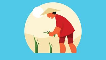 chino plantando arroz en un campo vector