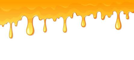 Dripping honey isolated on white background. vector
