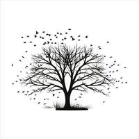 A single black tree silhouettes with birds on white background vector