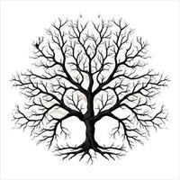 A single black tree silhouettes with birds on white background vector