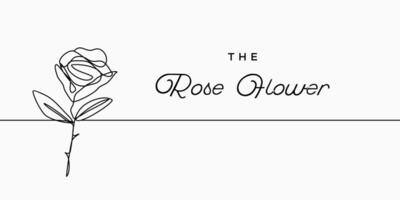 continuo línea, dibujo de Rosa flor ilustración para camiseta, eslogan diseño impresión gráficos estilo vector