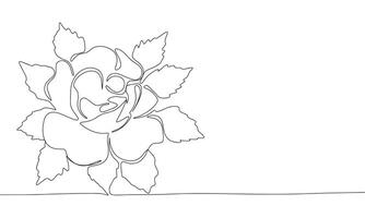 Rose with leaves one line continuous. Line art rose. Hand drawn art. vector