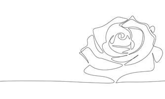 Flower one line continuous. Line art rose. Hand drawn art. vector