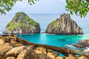 Fernando de Noronha, Brazil. View of Morro dos Dois Irmaos with gains and plants in the foreground. photo