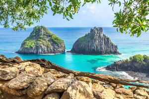 Fernando de Noronha, Brazil. View of Morro dos Dois Irmaos with gains and plants in the foreground. photo