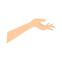 caucásico hembra mano con pintado uñas abierto mano presentación mano vector