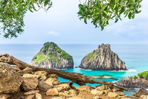 Fernando de Noronha, Brazil. View of Morro dos Dois Irmaos with gains and plants in the foreground. photo