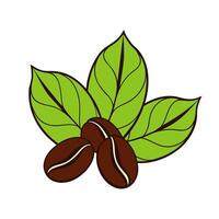 Coffee beans on coffee leaves, doodle stylized coloring drawing on white background. Logo, icon. vector