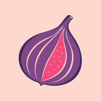 Fruit fig stylized contour doodle drawing, illustration in boho style on pink background. vector