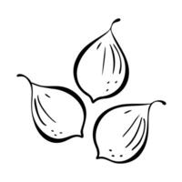 Fruit fig stylized contour doodle drawing, logo icon, isolated on white background. vector