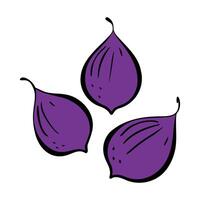 Fruit fig stylized contour doodle drawing, logo icon, isolated on white background. vector