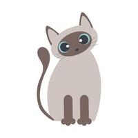 Cartoon Siamese cat with big light blue eyes isolated on a white background. vector