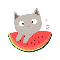 Summer gray cute cartoon cat eating sweet watermelon. Funny print for textiles isolated on a white background. vector