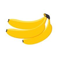 Bananas three pieces yellow sweet ripe exotic tropical fruit isolated on a white background. vector