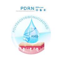 PDRN ,Polydeoxyribonucleotide serum Skin Care Cosmetic, DNA salmon vector
