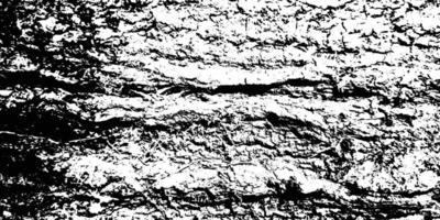 negro y blanco grunge madera textura. vector