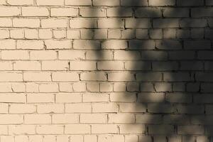 shadows from tree leaves on a light brick wall 1 photo