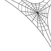 Halloween Spider Web vector