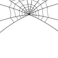 Halloween Spider Web vector