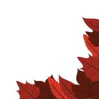 Autumn Leaf Corner vector