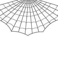 Halloween Spider Web vector