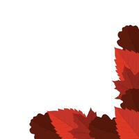 Autumn Leaf Corner vector