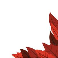 Autumn Leaf Corner vector