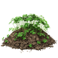 ein Stapel von Schmutz mit Kleeblatt Pflanzen auf es frisch Zwiebel Gemüse isoliert auf transparent Hintergrund png